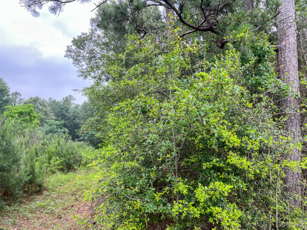 341ac-FM1475-6