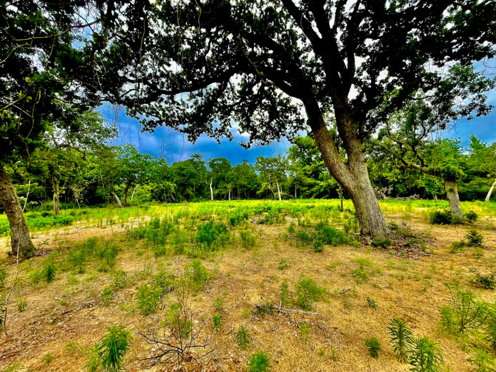 ThreeLakesRanch-16