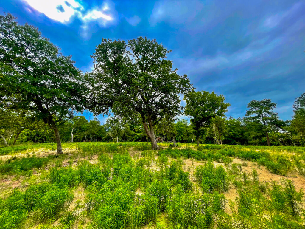 ThreeLakesRanch-4