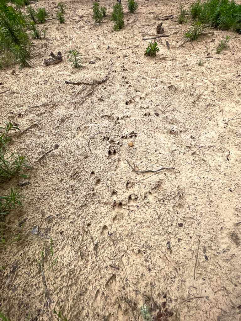 ThreeLakesRanch-7